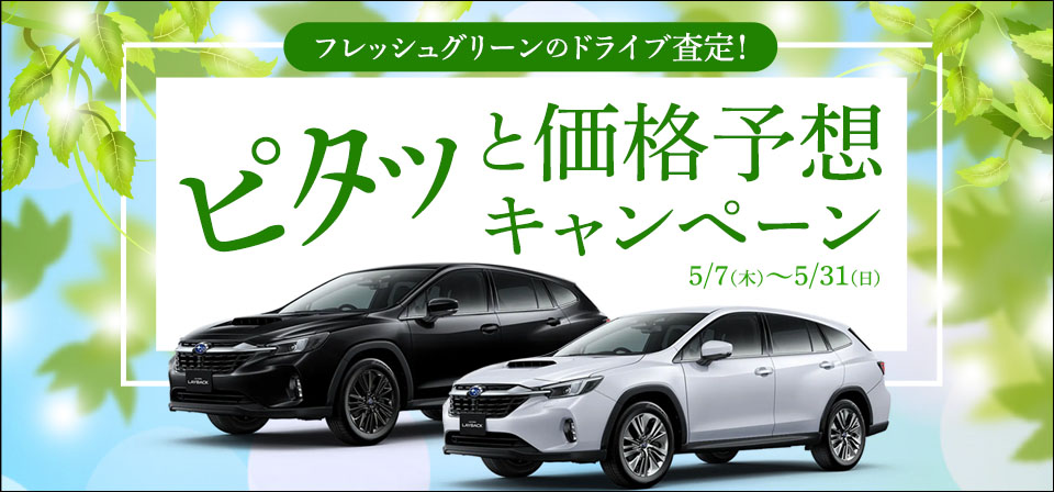 フレッシュグリーンのドライブ査定！ピタッと価格予想キャンペーン