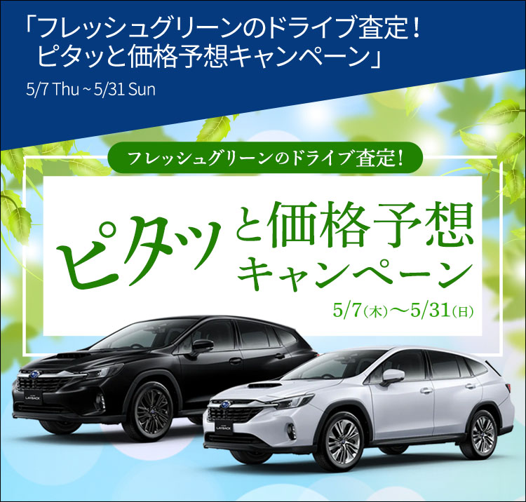 フレッシュグリーンのドライブ査定！ピタッと価格予想キャンペーン