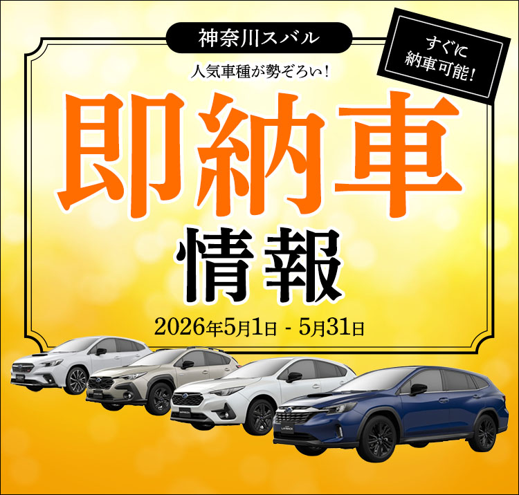 人気車種が勢ぞろい！即納車情報