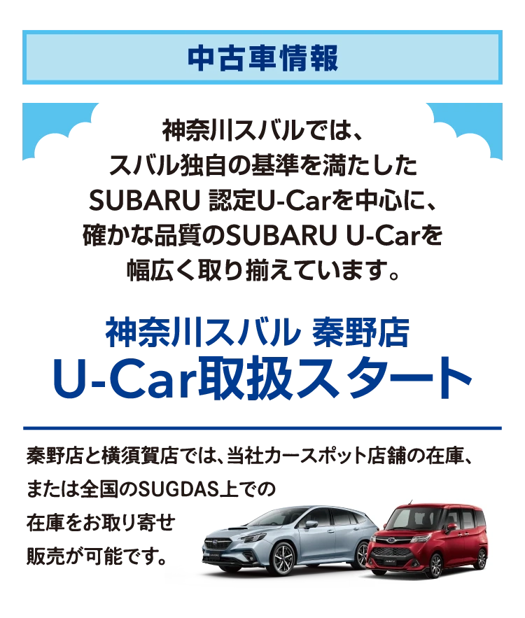 中古車情報