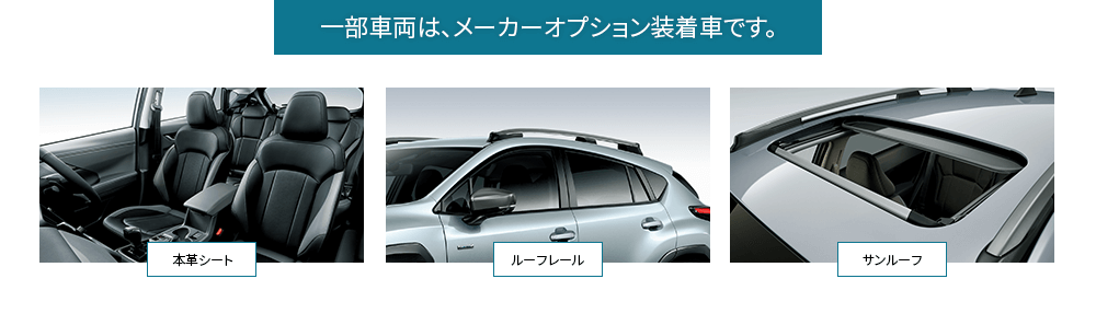 一部車両は、メーカーオプション装着車です。