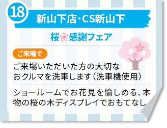 新山下店･CS新山下　桜 感謝フェア ご来場で　ご来場いただいた方の大切なおクルマを洗車します（洗車機使用）ショールームでお花見を愉しめる、本物の桜の木ディスプレイでおもてなし