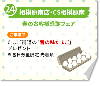 相模原南店・CS相模原南　春のお客様感謝フェアご来場で たまご街道の「昔の味たまご」プレゼント※各日数量限定 先着順