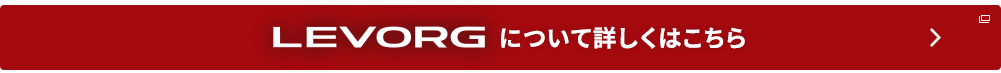 levorgについて詳しくはこちら