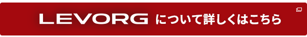 levorgについて詳しくはこちら