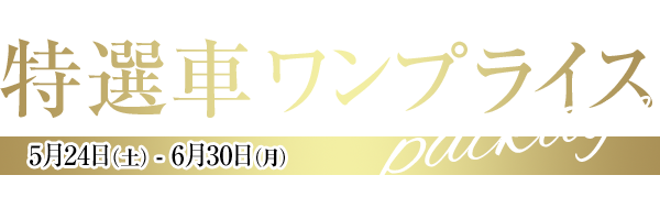 神奈川スバル 特選車ワンプライスpackage 5月24日（土）～6月30日（月）