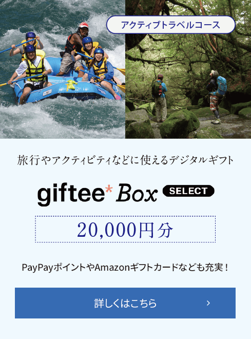 【アクティブトラベルコース】旅行やアクティビティなどに使えるデジタルギフト giftee Box SELECT 20,000円分 PayPayポイントやAmazonギフトカードなども充実! 詳しくはこちら