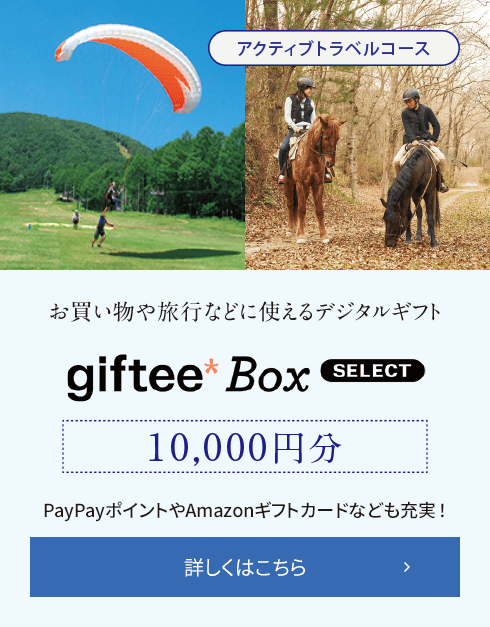 【アクティブトラベルコース】旅行やアクティビティなどに使えるデジタルギフト giftee Box SELECT 10,000円分 PayPayポイントやAmazonギフトカードなども充実! 詳しくはこちら