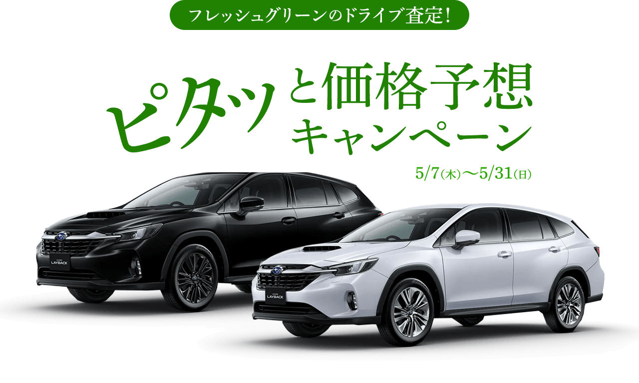 フレッシュグリーンのドライブ査定！ピタッと価格予想キャンペーン 5/7(木)〜5/31(日)