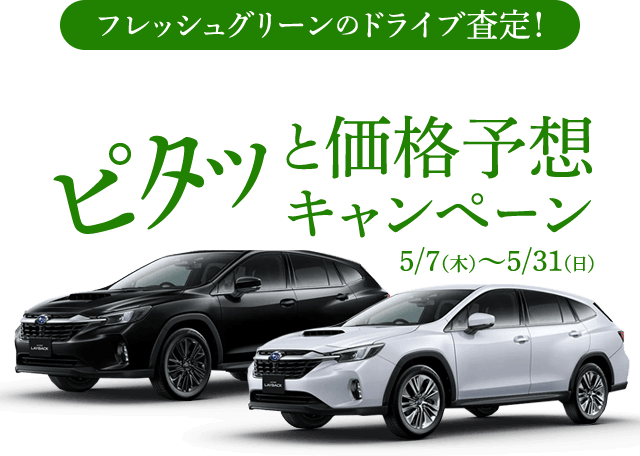 フレッシュグリーンのドライブ査定！ピタッと価格予想キャンペーン 5/7(木)〜5/31(日)