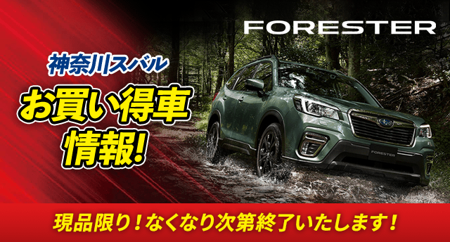 神奈川スバル お買い得車情報! 現品限り！なくなり次第終了いたします！ FORESTER