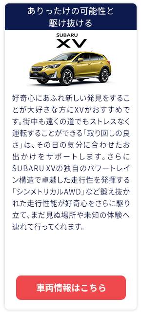 ありったけの可能性と駆け抜ける